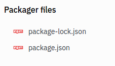 package.json file