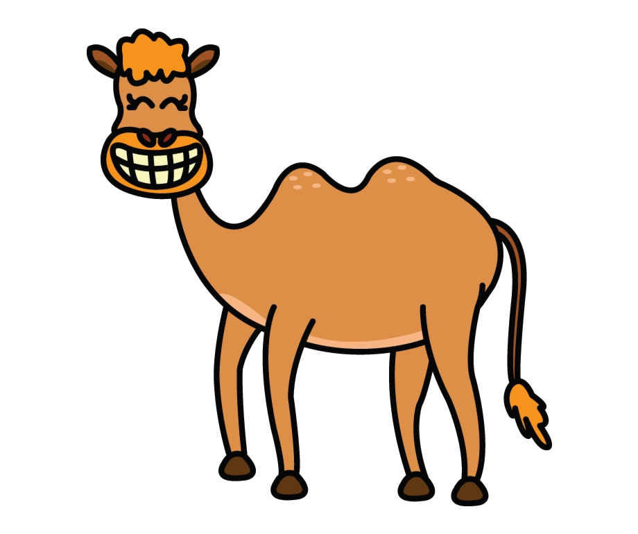 Camel